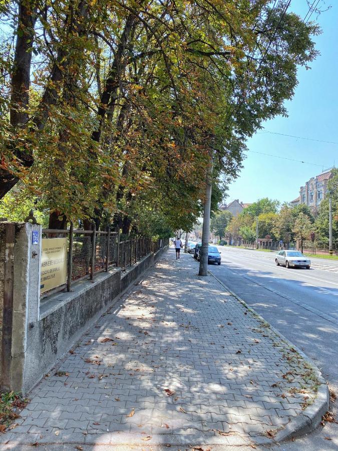 Highland Home - Cozy Apartments Near City Center オラデア エクステリア 写真